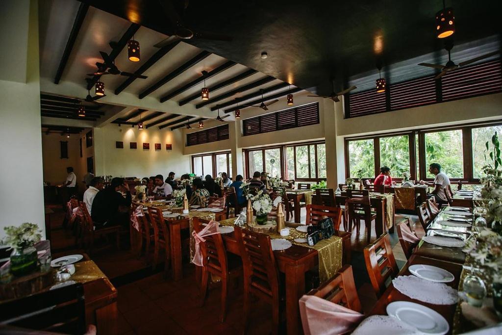 Wayanad Silver Woods Εξωτερικό φωτογραφία